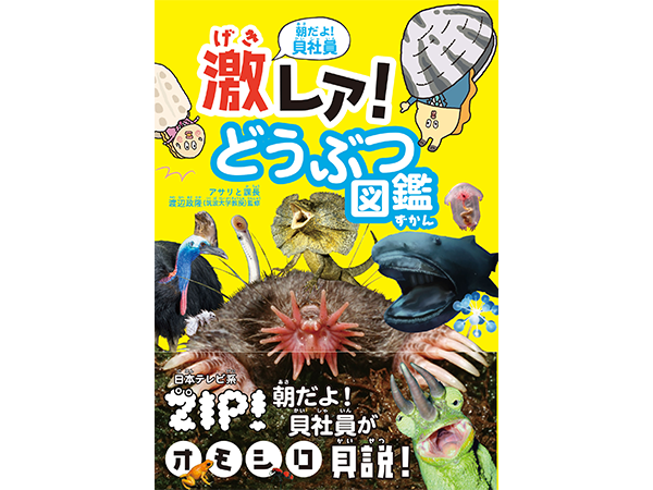 【貝社員】書籍「朝だよ! 貝社員 激レア! どうぶつ図鑑」発売決定！ 