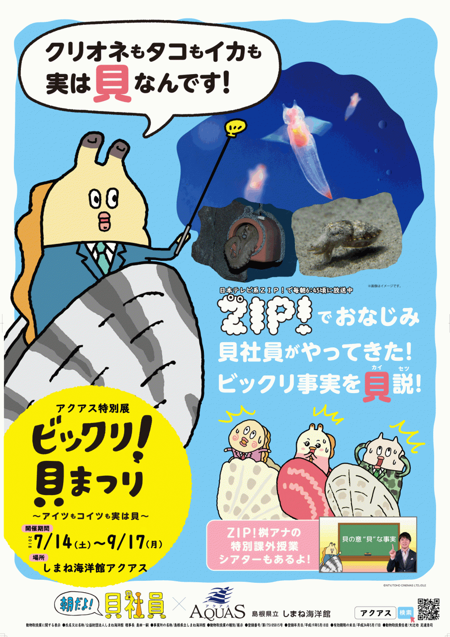 【貝社員】島根県立しまね海洋館 アクアスにて「ビックリ！貝まつり～アイツもコイツもじつは貝～」開催決定！