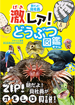 朝だよ! 貝社員 激レア! どうぶつ図鑑